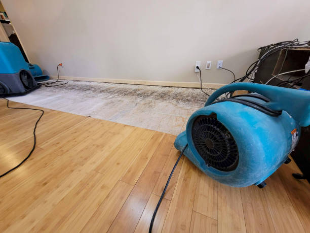 Professional Structural Drying technician working in Klickitat, WA